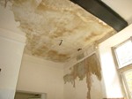 Reed ceiling repair.